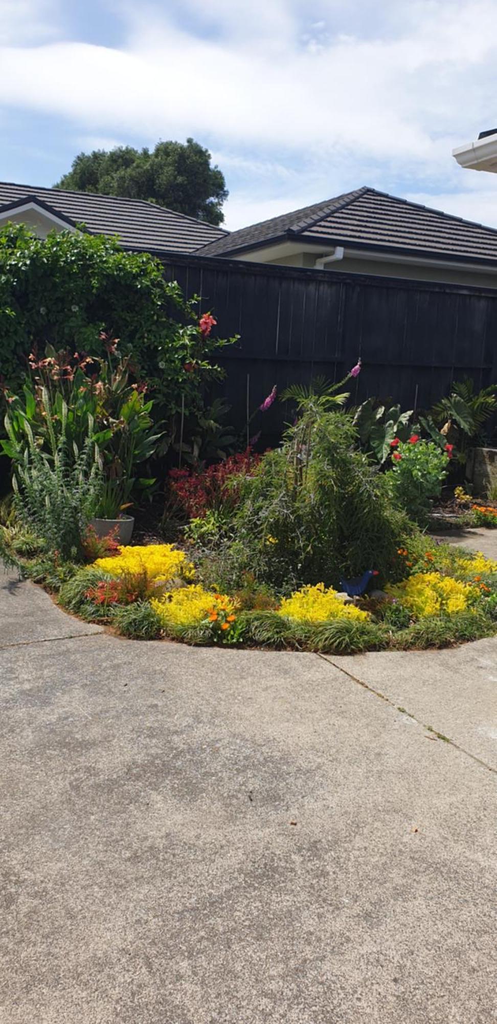 Warm & Welcome On Whiteley New Plymouth Exterior photo